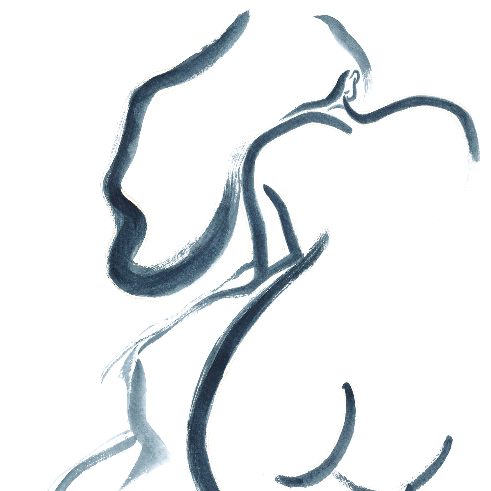 “青花喵”系列